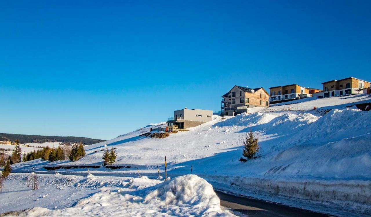 Wellness Villa Klinovec Views Loučná pod Klínovcem Exteriör bild